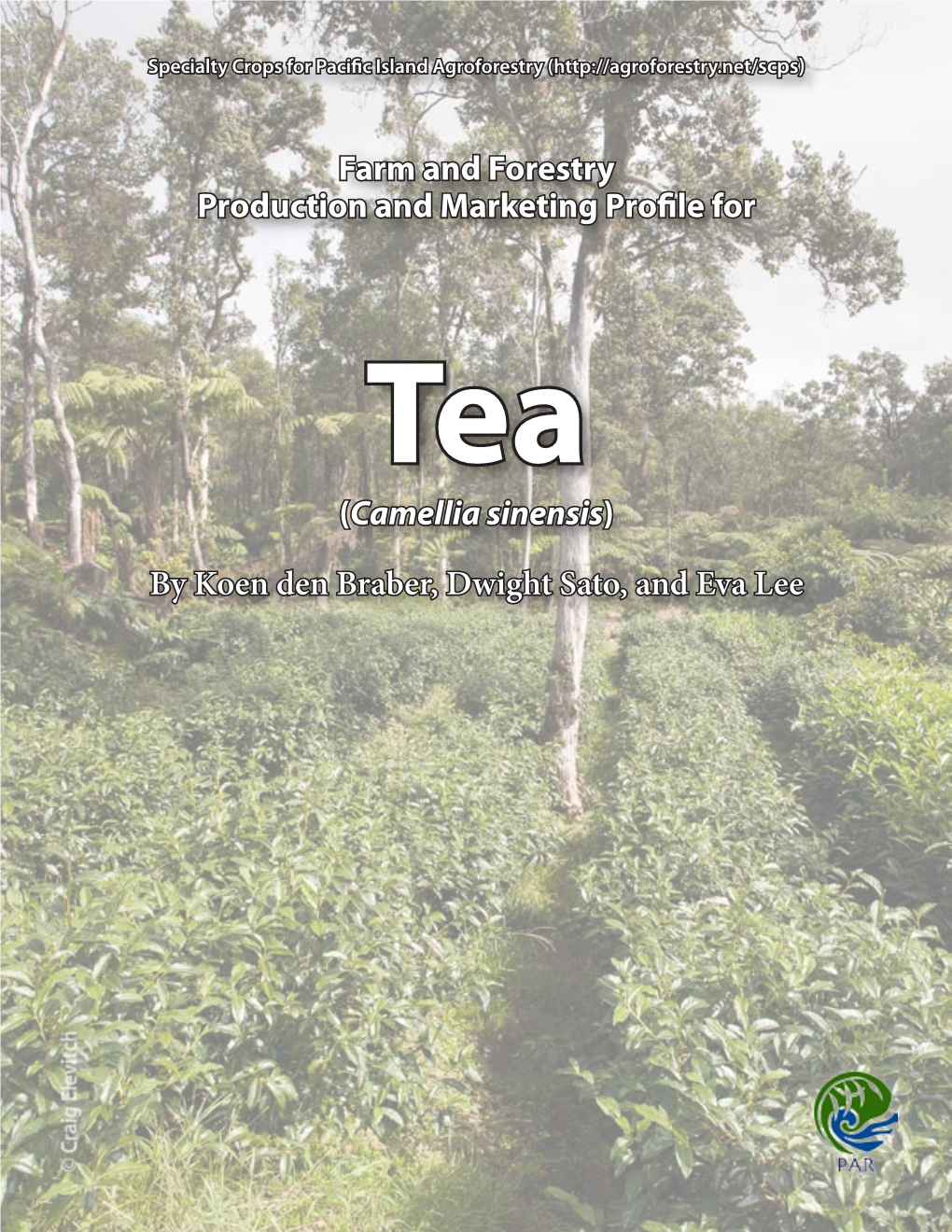 Farm and Forestry Production and Marketing Profile for Tea (Camellia Sinensis)