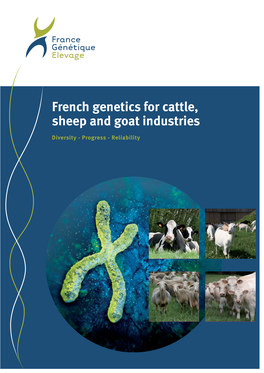 French Genetics for Cattle, Sheep and Goat Industries