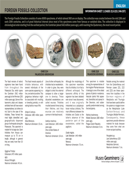 Foreign Fossils Collection Information Sheet 1 (Cases 213-223; 246-257)