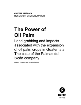 Guatemala: the Case of the Palmas Del Ixcán Company
