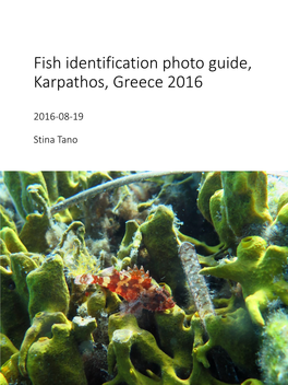 Fish Species of Karpathos, Greece 2016