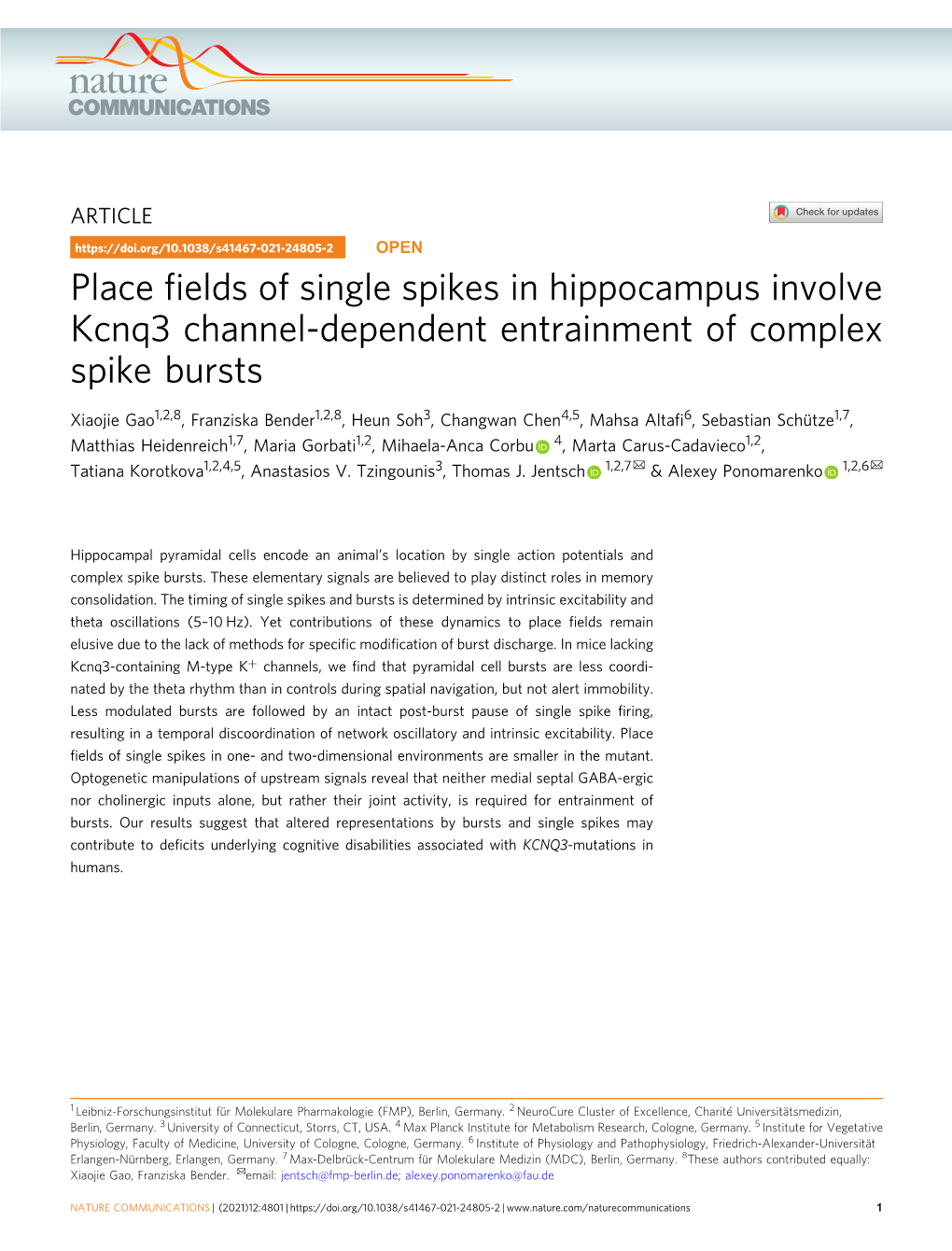 Place Fields of Single Spikes in Hippocampus Involve Kcnq3