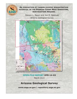 An Evaluation of Carbon Dioxide Sequestration Potential of the Permian Cedar Mesa Sandstone, Northeastern Arizona Steven L