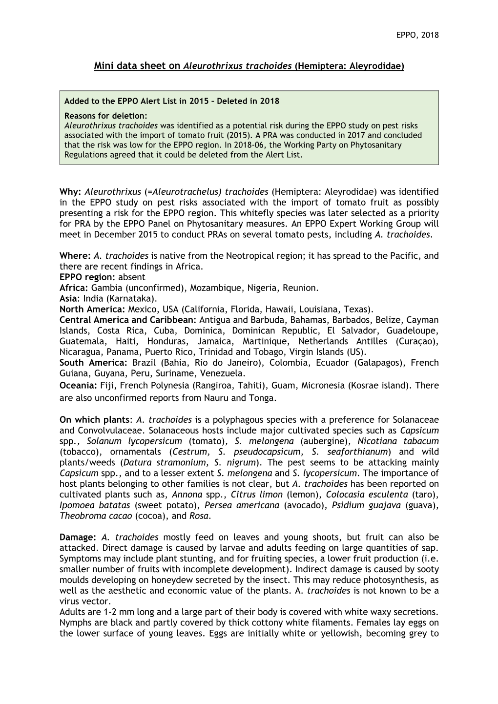 Mini Data Sheet on Aleurothrixus Trachoides (Hemiptera: Aleyrodidae)