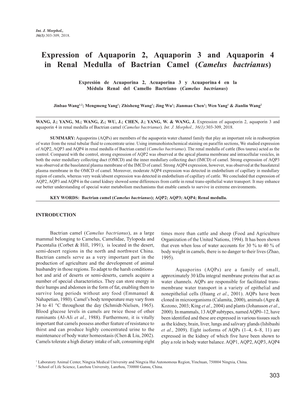 Expression of Aquaporin 2, Aquaporin 3 and Aquaporin 4 in Renal Medulla of Bactrian Camel (Camelus Bactrianus)