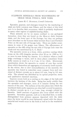 Sulphate Minerals from Weathering of Shale Near Ithaca, New York