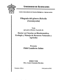 Filogenia Del Género Helvella (Ascomycota) Fidel Landeros Jaime