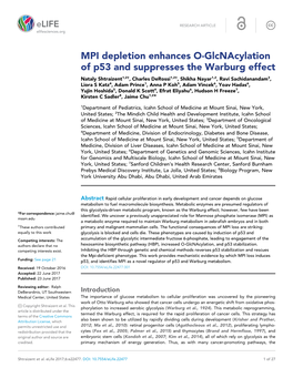 MPI Depletion Enhances O-Glcnacylation of P53 And