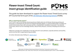 Guide to Recognising the Insect Groups You Need to Count