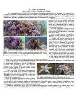 SEA STAR CATASTROPHE Article by Andy Lamb and Photos by Neil Mcdaniel the Marine Environment of the Pacific Northwest Is One the Planet’S Epicentres for Sea Stars