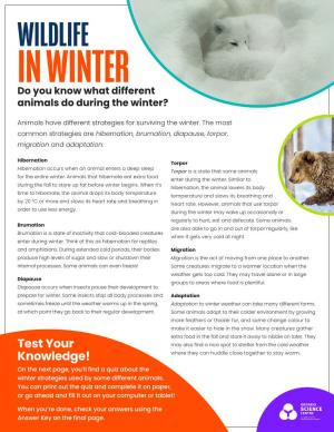 WILDLIFE in WINTER Do You Know What Different Animals Do During the Winter?