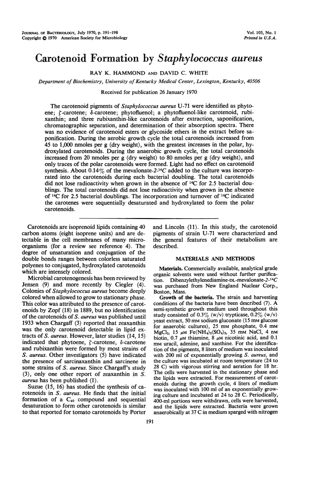 Carotenoid Formation by Staphylococcus Aureus RAY K