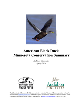 American Black Duck Minnesota Conservation Summary