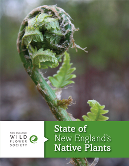 State of New England's Native Plants