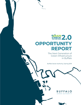 OPPORTUNITY REPORT the Next Generation of Green Infrastructure in Buffalo