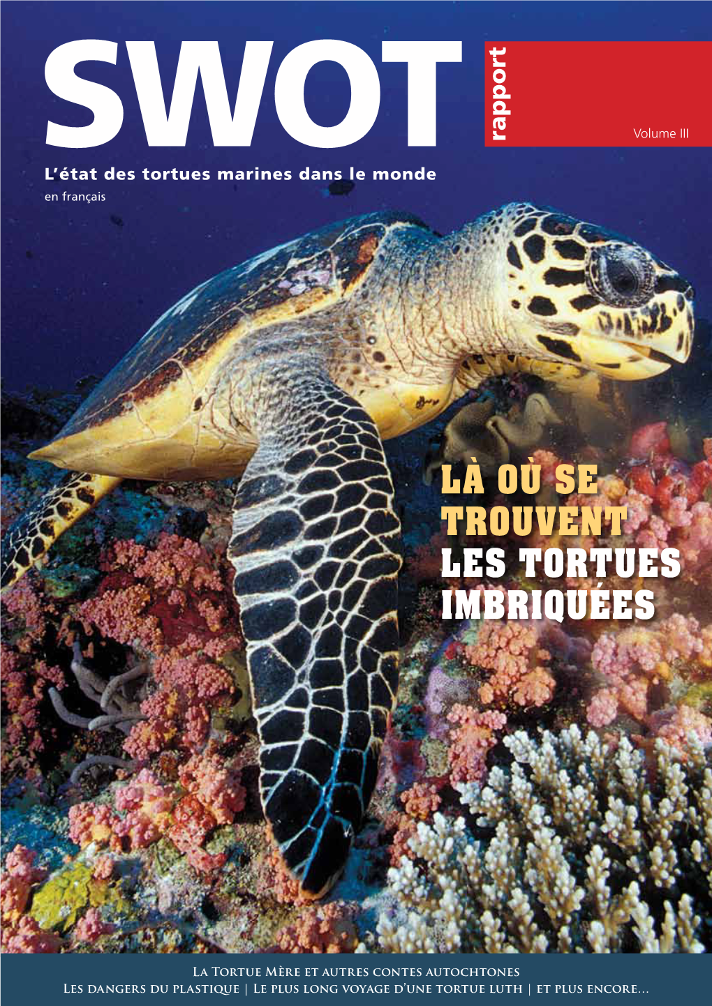 Là Où Se Trouvent Les Tortues Imbriquées