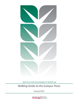 Walking Guide to the Campus Trees