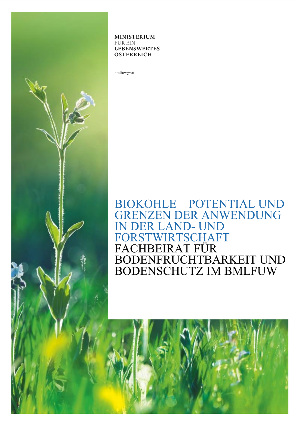 Biokohle – Potential Und Grenzen Der Anwendung in Der Land- Und Forstwirtschaft Fachbeirat Für Bodenfruchtbarkeit Und