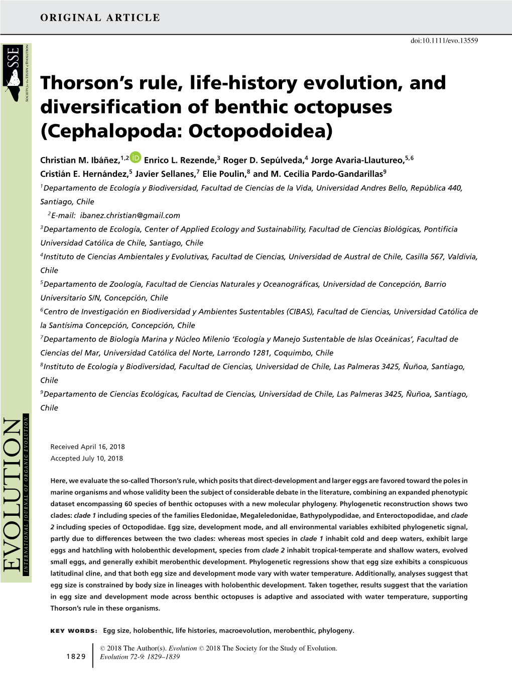 History Evolution, and Diversification of Benthic Octopuses