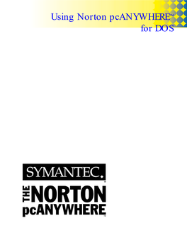 Norton Pcanywhere 5.0 For