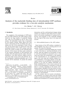 Analysis of the Nucleotide Binding Sites of Mitochondrial ATP Synthase Provides Evidence for a Two-Site Catalytic Mechanism