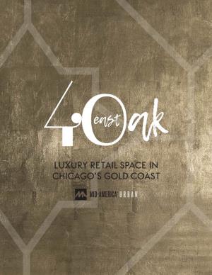 LUXURY RETAIL SPACE in Chicago's Gold Coast