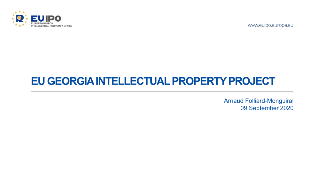 Eu Georgia Intellectual Property Project