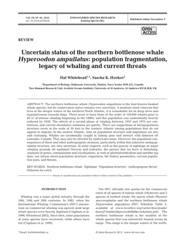 Uncertain Status of the Northern Bottlenose Whale Hyperoodon Ampullatus: Population Fragmentation, Legacy of Whaling and Current Threats