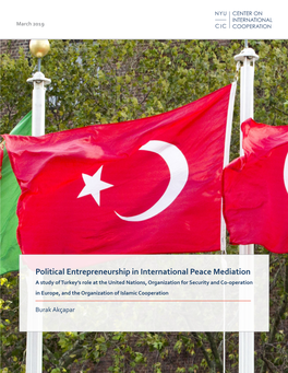Political Entrepreneurship in International Peace Mediation