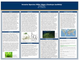 Invasive Species: Killer Algae (Caulerpa Taxifolia) Archida Korat BIOL 115 SPRING 2019
