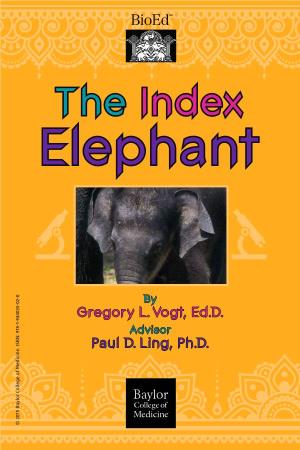 The Index Elephant