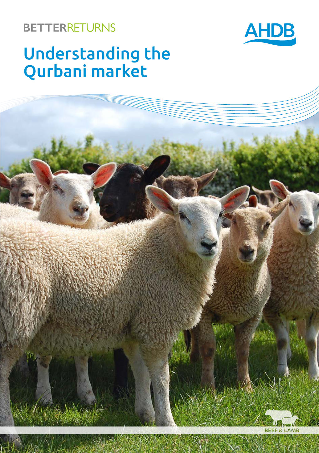 Understanding the Qurbani Market