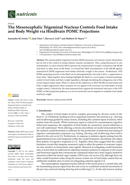 The Mesencephalic Trigeminal Nucleus Controls Food Intake and Body Weight Via Hindbrain POMC Projections
