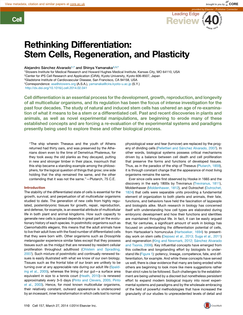 Stem Cells, Regeneration, and Plasticity