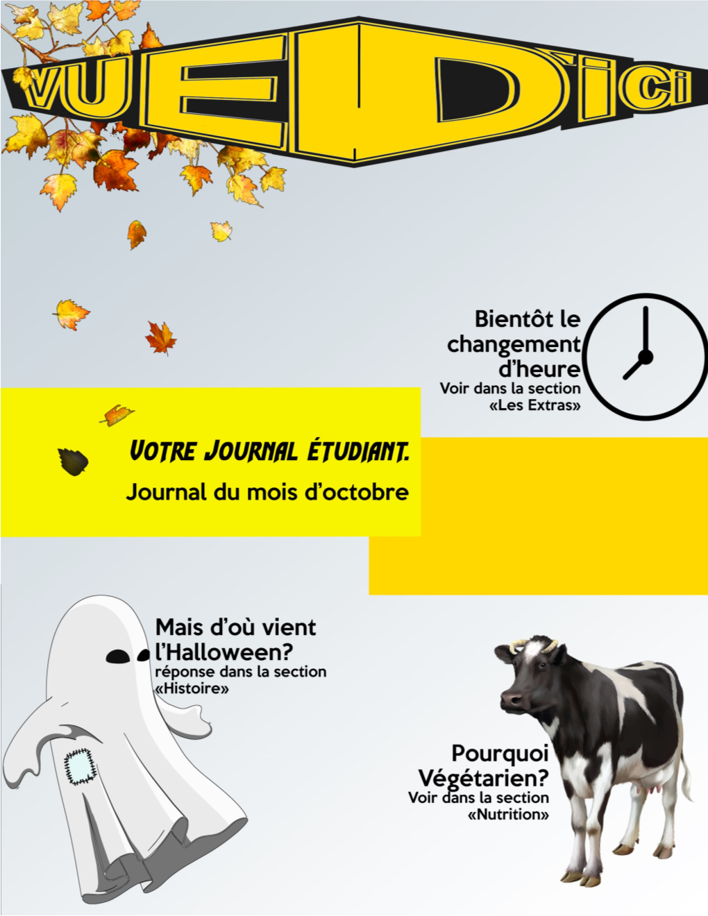 VUE-DICI-ÉDITION-OCTOBRE-2016.Pdf