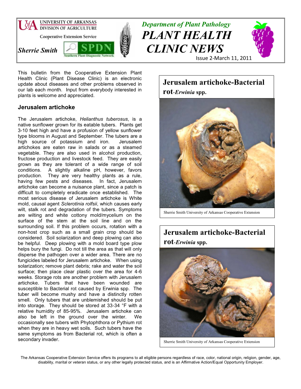 Plant Health Clinic News, Issue 2, 2011