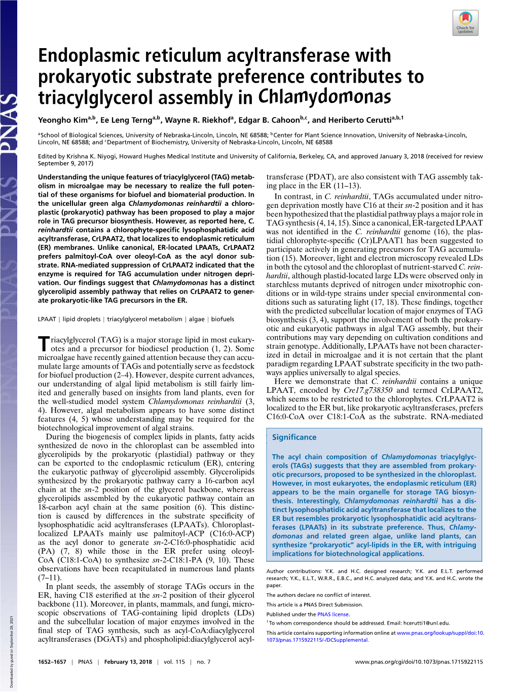 Endoplasmic Reticulum Acyltransferase with Prokaryotic Substrate Preference Contributes to Triacylglycerol Assembly in Chlamydomonas