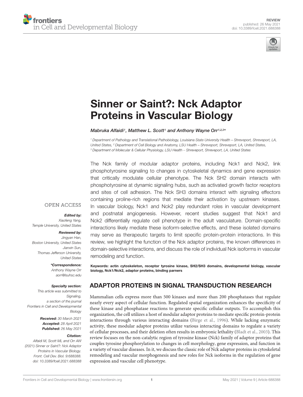 Nck Adaptor Proteins in Vascular Biology