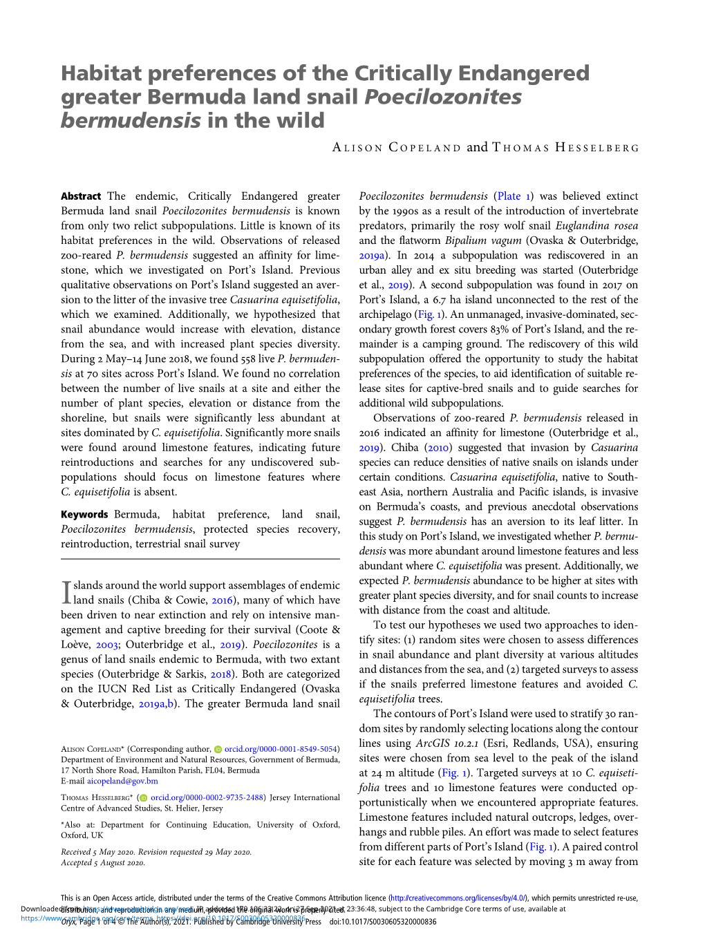 Habitat Preferences of the Critically Endangered Greater Bermuda Land Snail Poecilozonites Bermudensis in the Wild