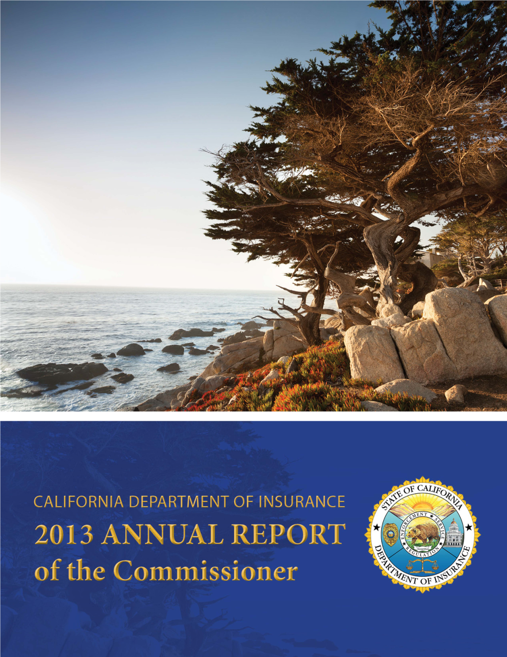 2013 Annual Report of the Commissioner