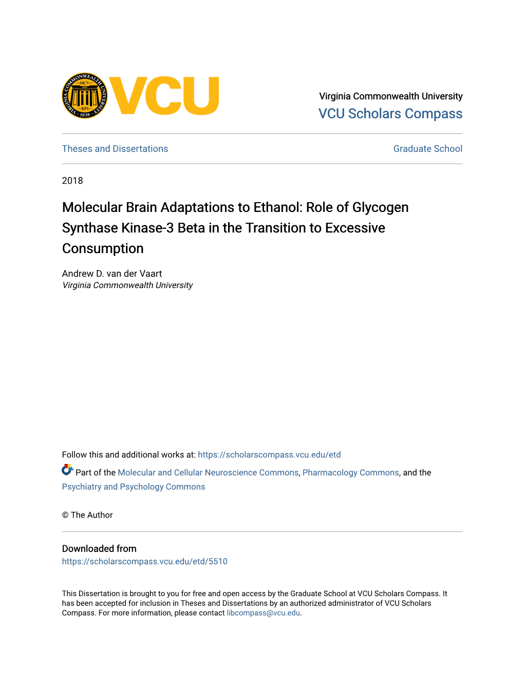 Role of Glycogen Synthase Kinase-3 Beta in the Transition to Excessive Consumption