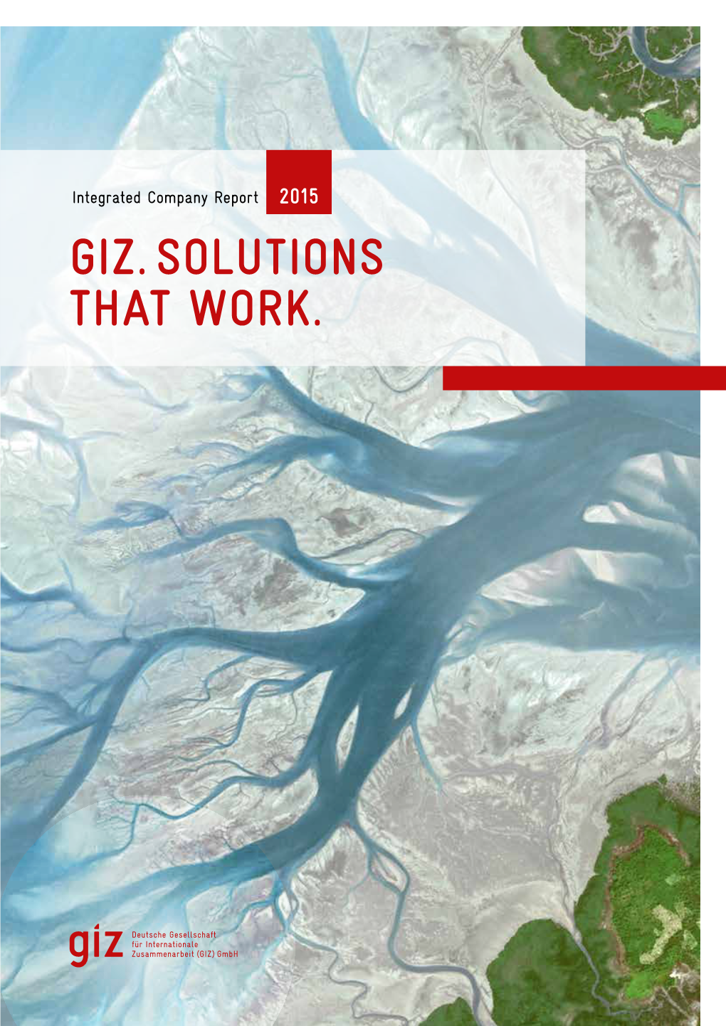 Giz. Solutions That Work. 54