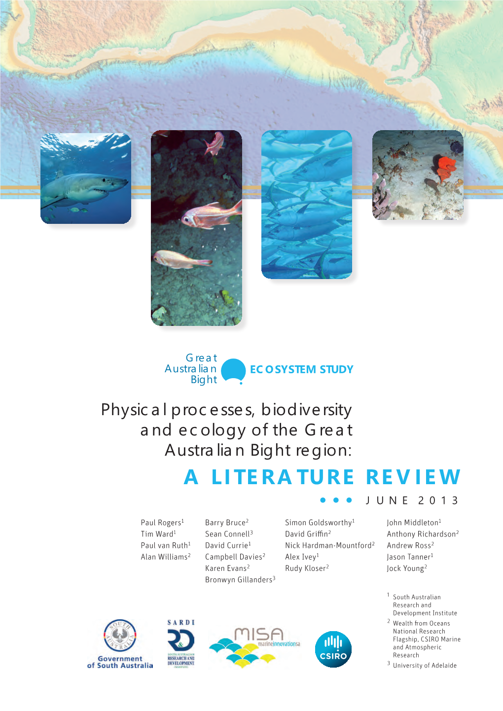 A Literature Review June 2013