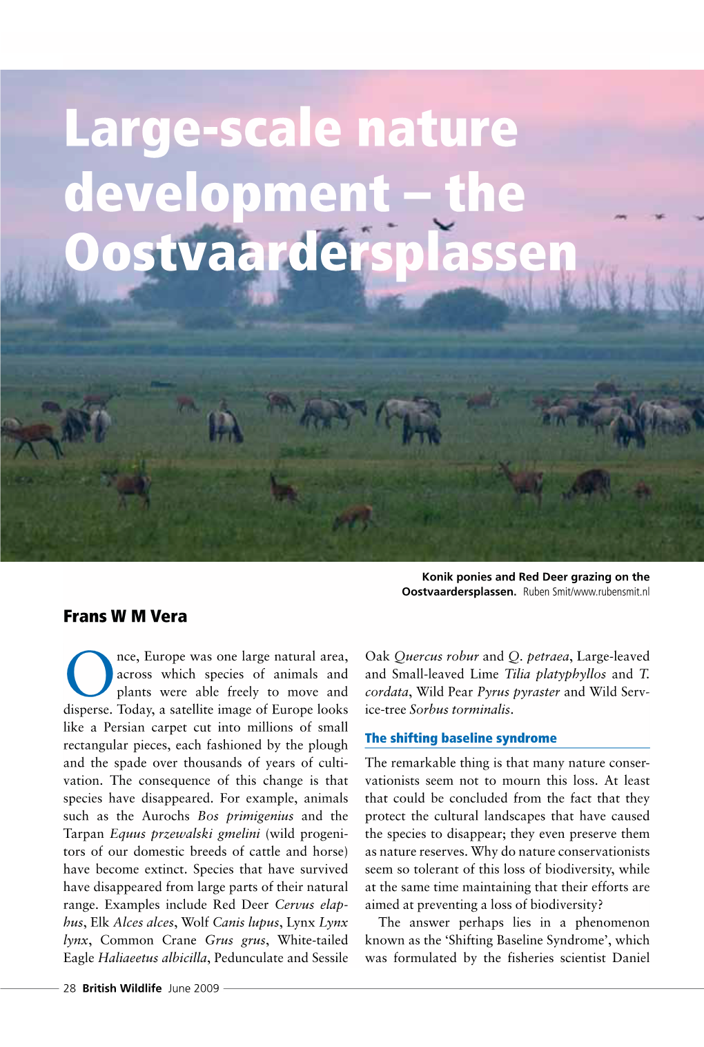 Large-Scale Nature Development – the Oostvaardersplassen