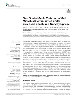Fine Spatial Scale Variation of Soil Microbial Communities Under European Beech and Norway Spruce