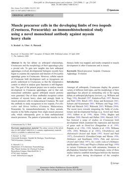Crustacea, Peracarida): an Immunohistochemical Study Using a Novel Monoclonal Antibody Against Myosin Heavy Chain