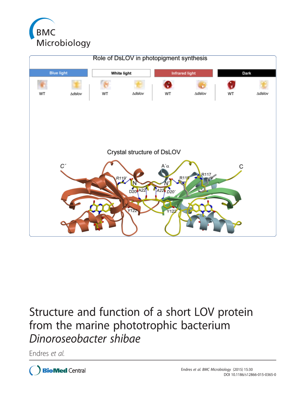 Dinoroseobacter Shibae Endres Et Al