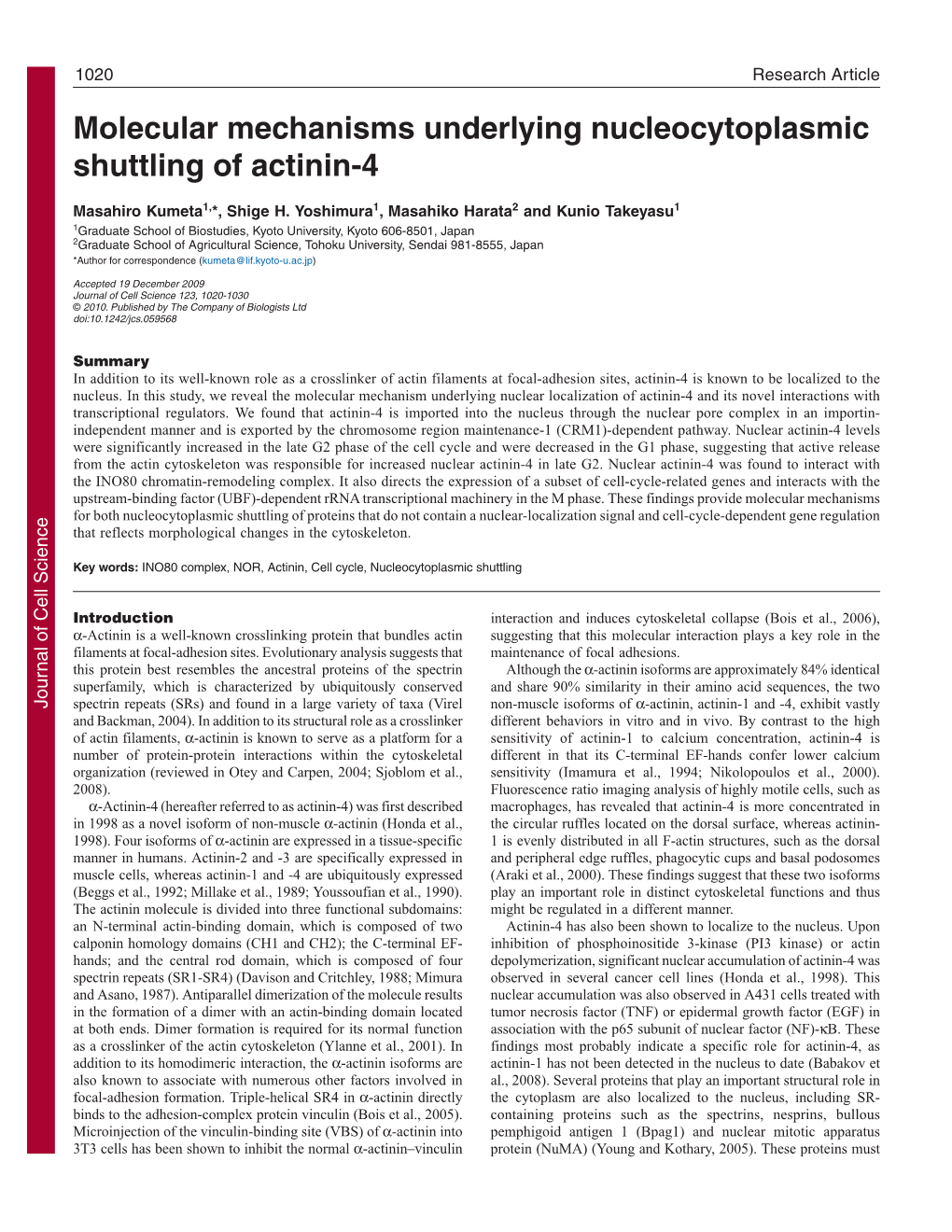 Molecular Mechanisms Underlying Nucleocytoplasmic Shuttling of Actinin-4