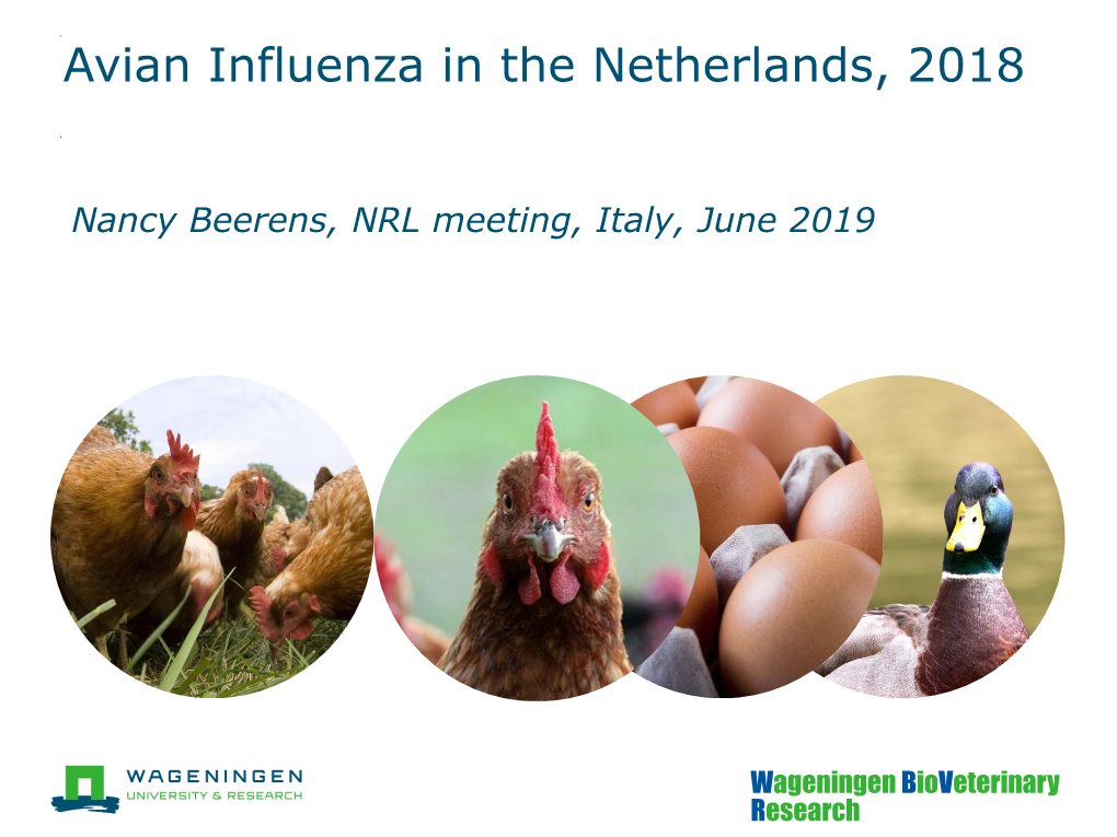 Avian Influenza in the Netherlands, 2018