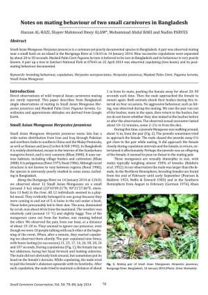 Notes on Mating Behaviour of Two Small Carnivores in Bangladesh